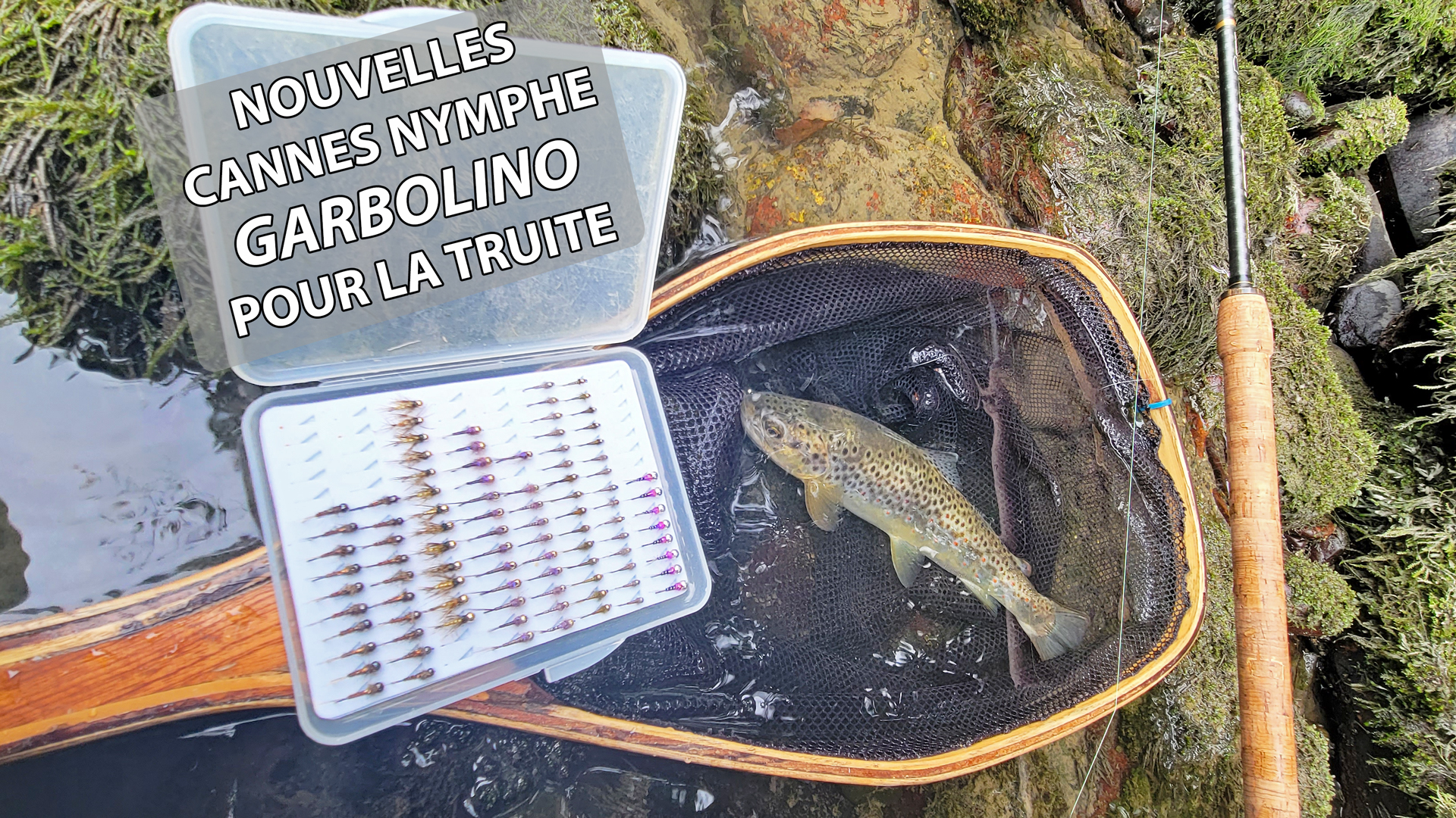 Garbolino Ensemble pêche Truite/Toc, Canne téléréglable + Moulinet Shimano  2 000 + Nylon